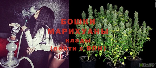 ECSTASY Лагань
