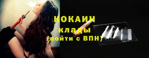 ешки Ладушкин