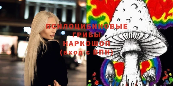 ешки Ладушкин