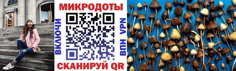 Псилоцибиновые грибы Cubensis  Новороссийск 
