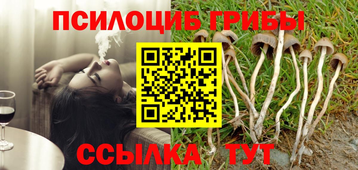 Гашиш Новороссийск