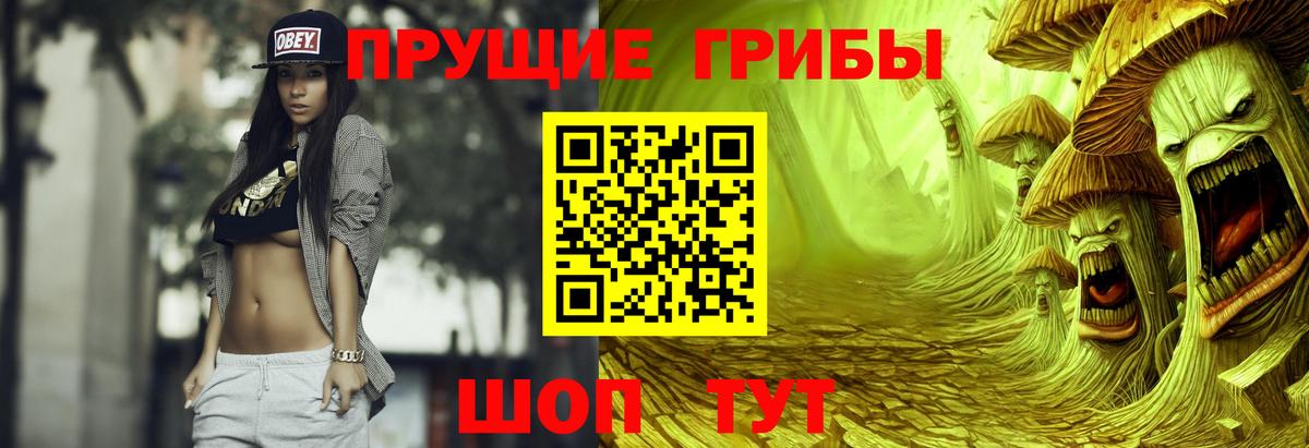 Псилоцибиновые грибы GOLDEN TEACHER Новороссийск